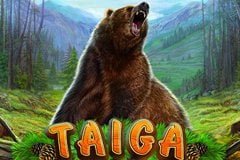 Taiga