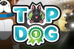 Top Dog