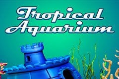 Tropical Aquarium