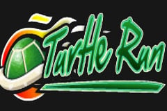 Turtle Run