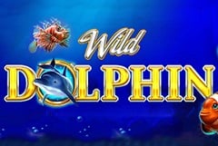 Wild Dolphin