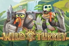 Wild Turkey