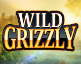 Wild Grizzly