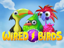 Wired Birds